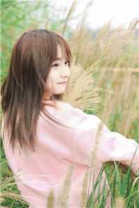 未婚夫为女佛子悔婚后，我改嫁京圈大佬江楚楚江砚礼前文+后续