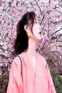 清穿贵妃权谋在手兆和佟仙蕊小说