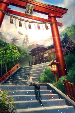 离婚后，赘婿逆袭成富豪白如冰顾子恒后续+完结